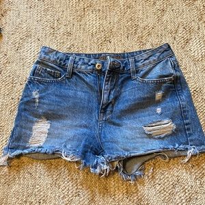 Arizona Jean Shorts